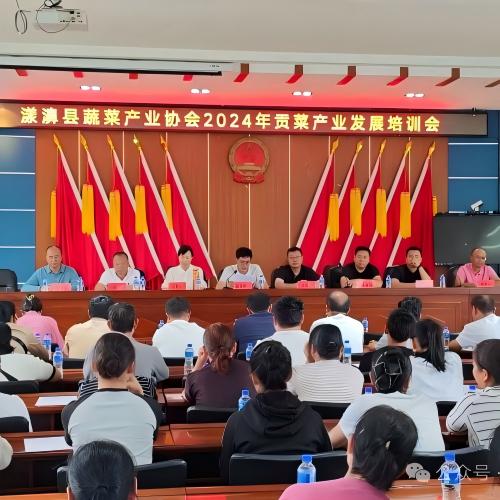 漾濞县蔬菜产业协会2024年产业发展座谈交流会